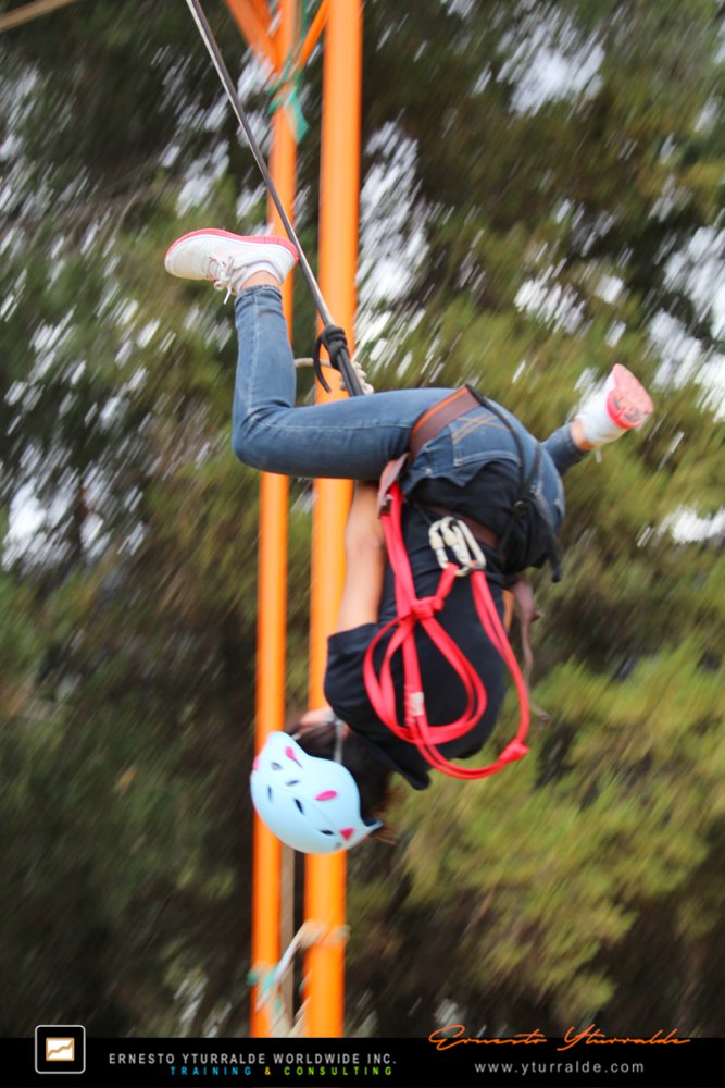 Team Building con Cuerdas Altas | Desafíos de colaboración y cohesión de equipos de trabajo en experiencias Outdoor